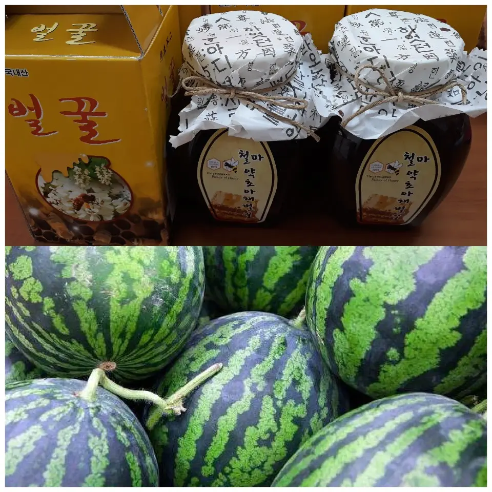 건강한 여름보내기