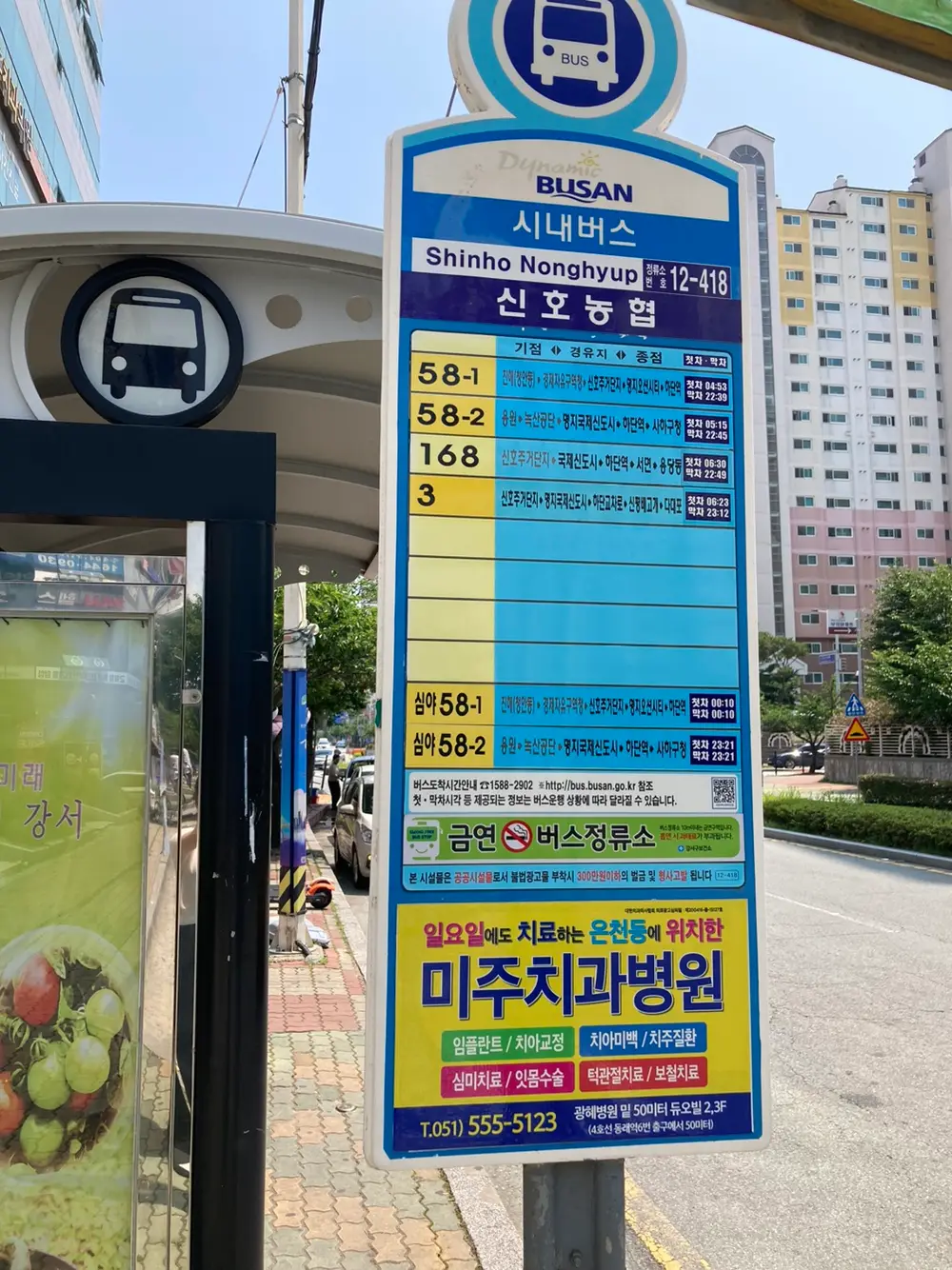 버스번호 안내