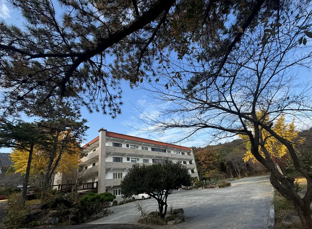 로뎀전경