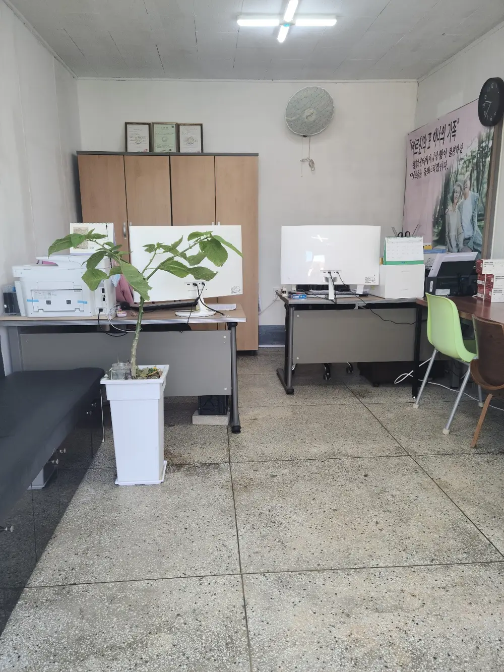 사진
