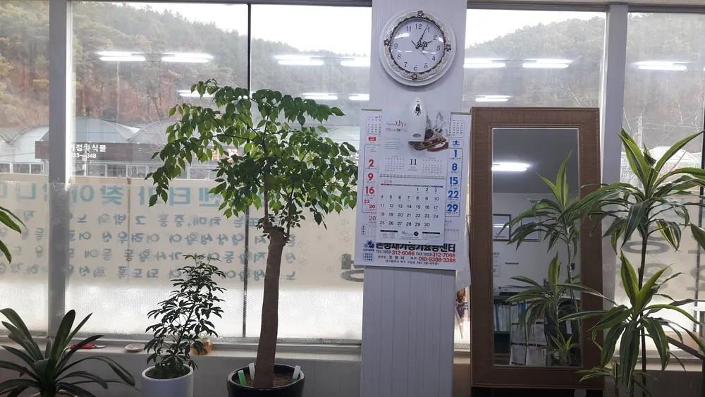 사무실 전경