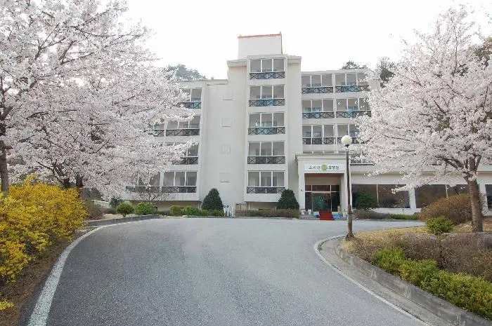봄전경
