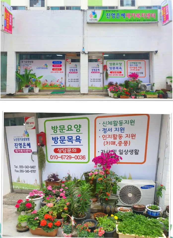 꽃들이 많은 진영은혜 재가