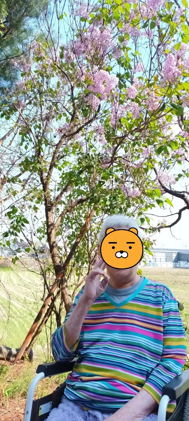 마당 산책 다녀왔어요~