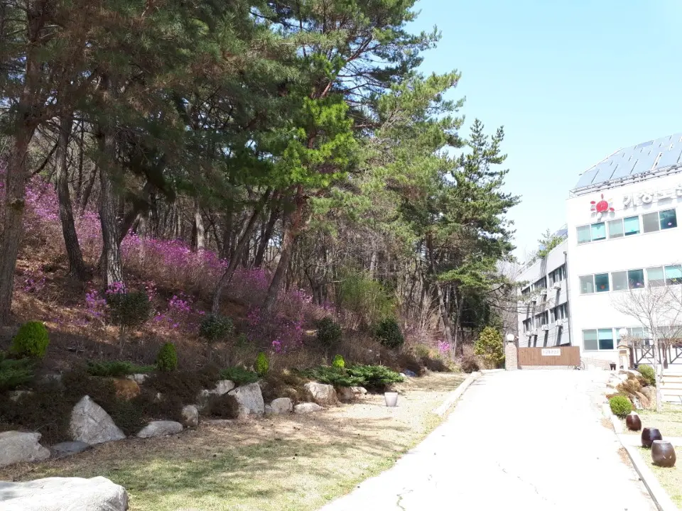 봄날의 전경