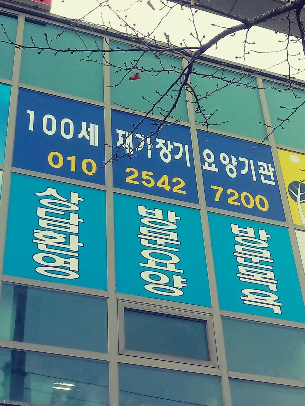100세재가장기요양기관 사진