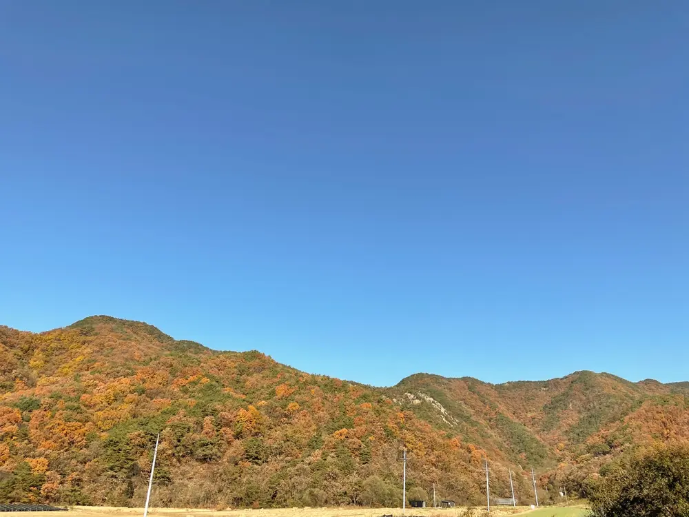 보은요양원 사진