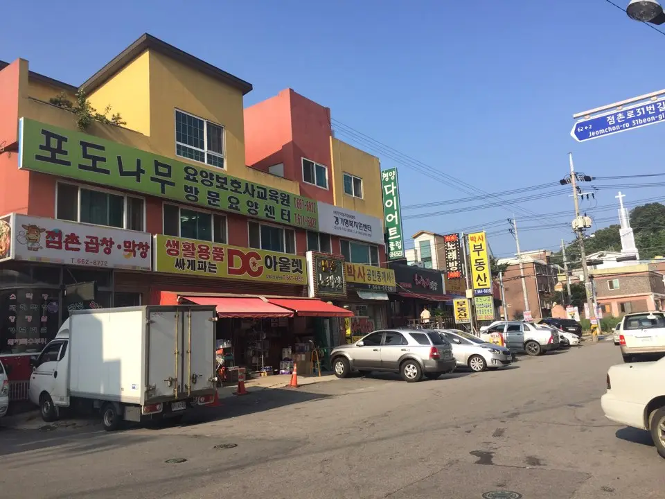 포도나무 전경사진