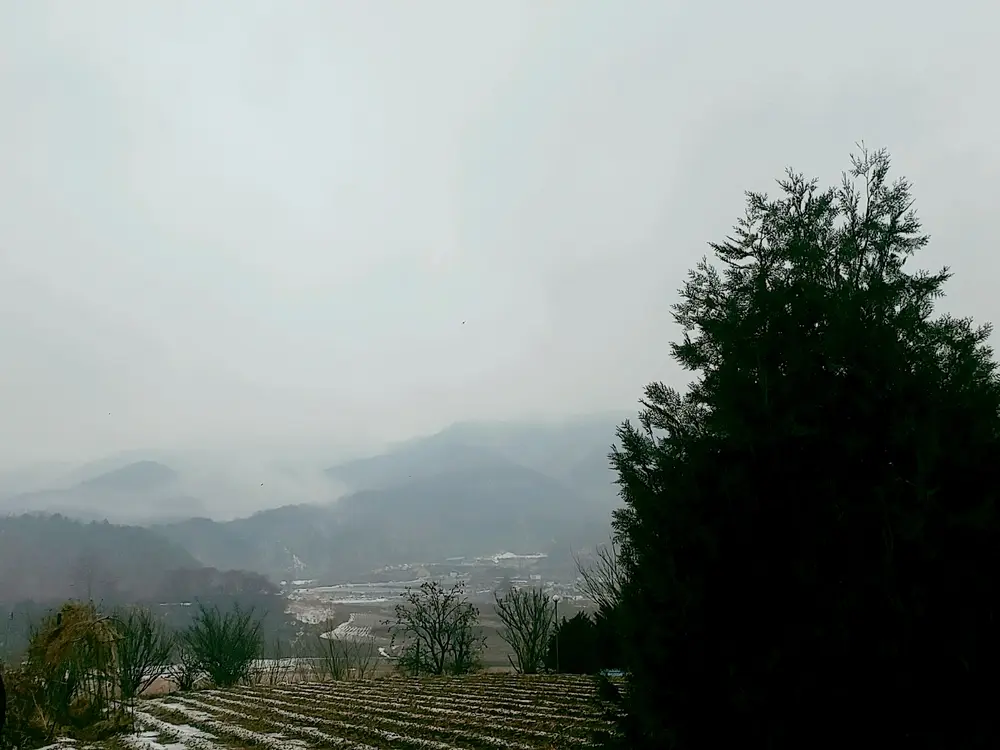 안개가 자욱한 전경