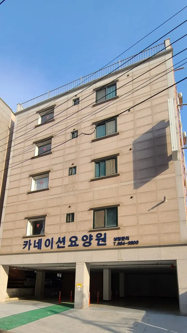 카네이션 요양원