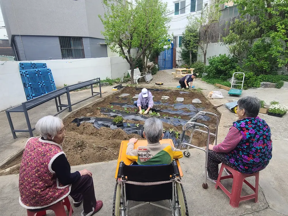 도시농업텃밭